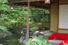 IMGP3540