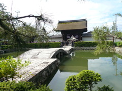 P1030312　妙心寺　１