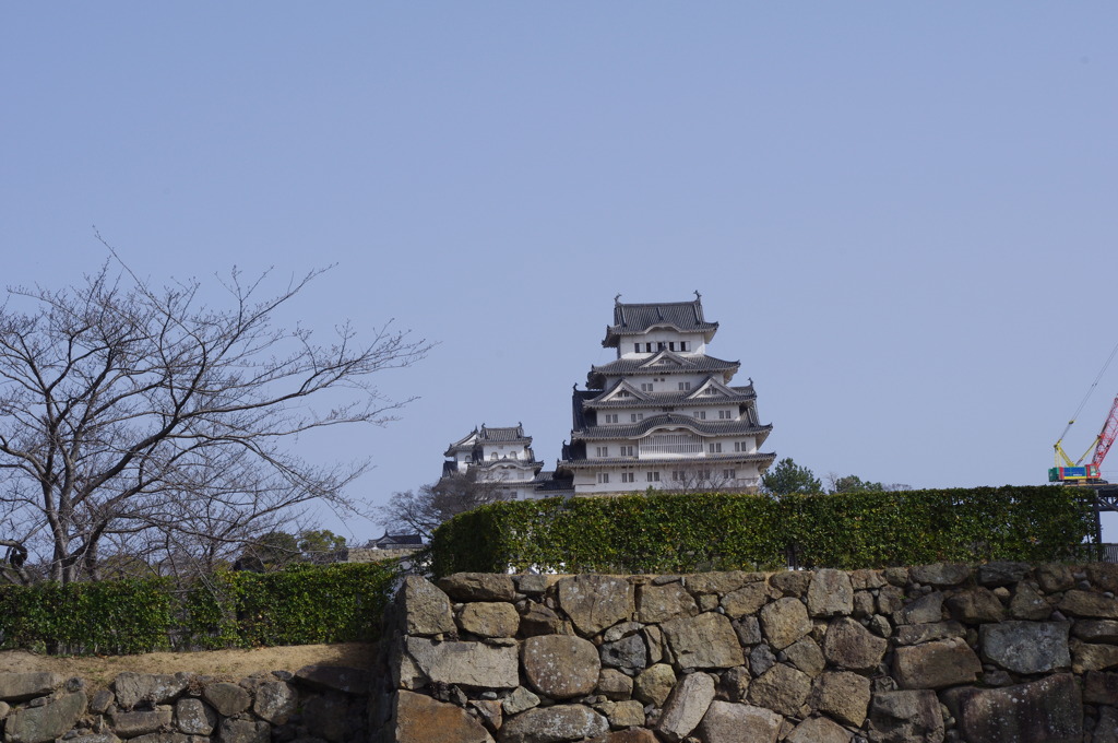 231　姫路城と石垣