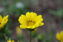 105