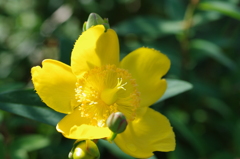 036