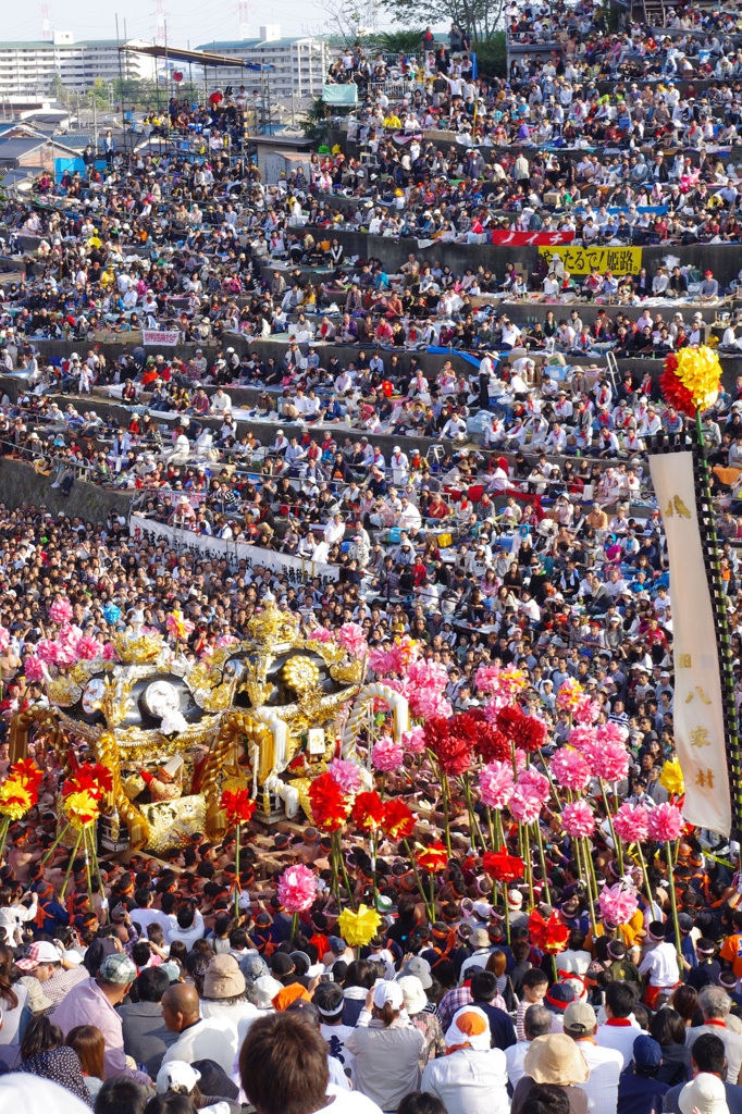 IMGP8688　灘けんか祭り