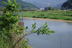 IMGP3437