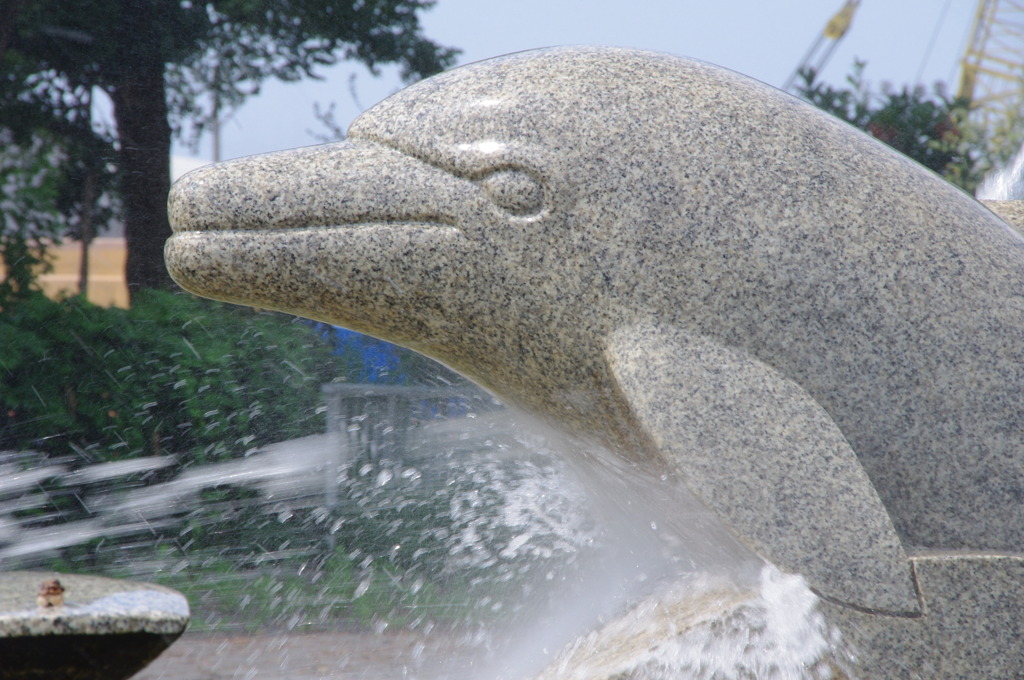 066　いるかの水遊び