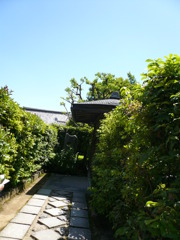 P1030374　退蔵院