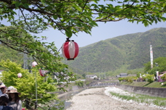 100和気の藤まつり