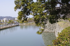 259姫路城の内堀