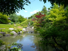 P1030387　　庭園