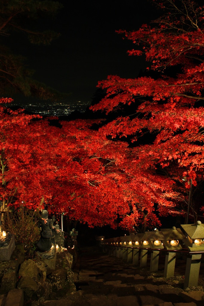 晩秋の紅葉