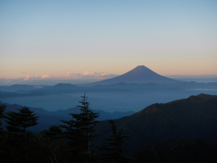 20120820_kobushi_fuji