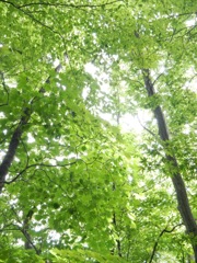 また会おう、夏山。