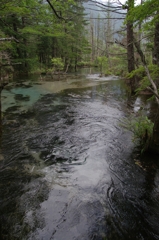 梓川の水面