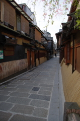 京都　祇園白川２