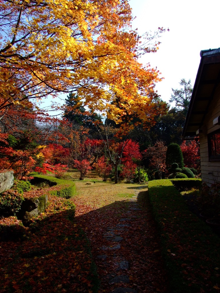 「志賀山文庫」紅葉に染まる庭