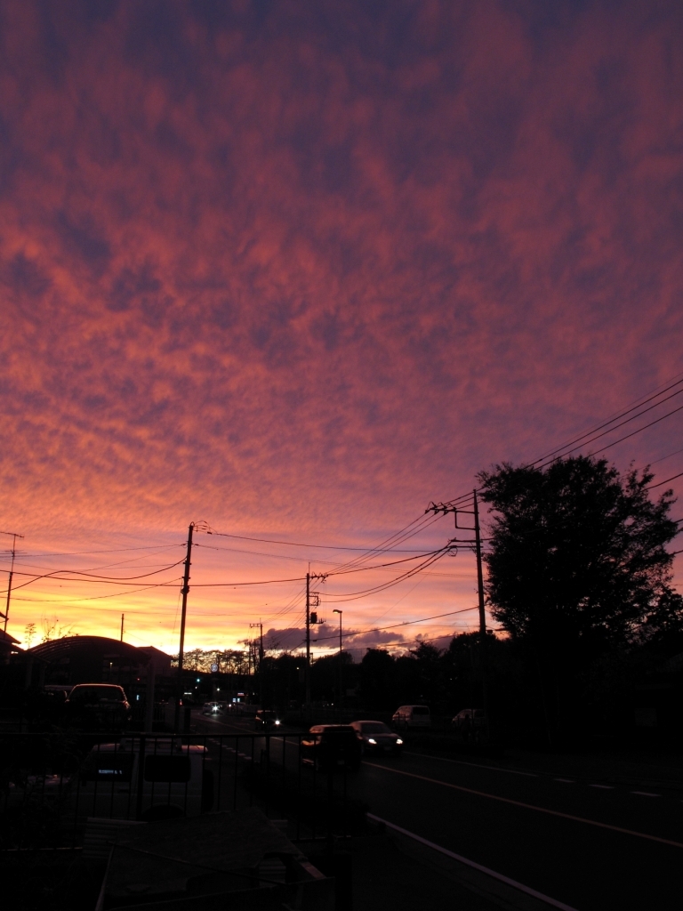 11月のそら、夕焼けにつき