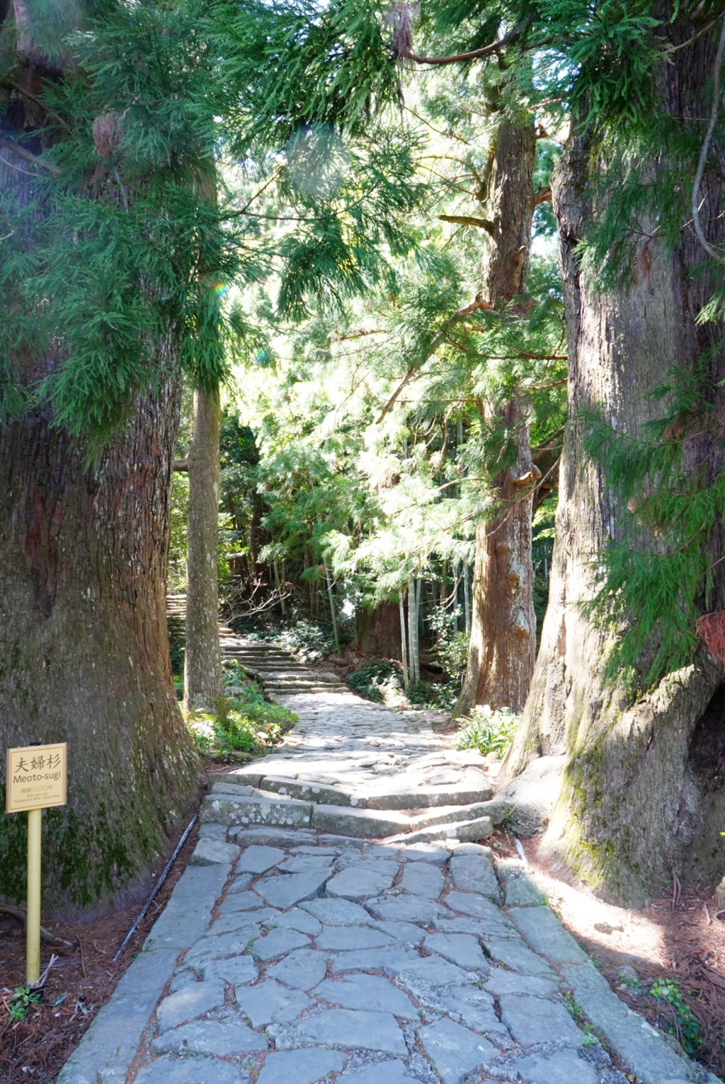 熊野那智大社