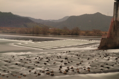 高梁川