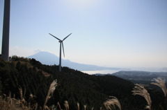 桜島と風車