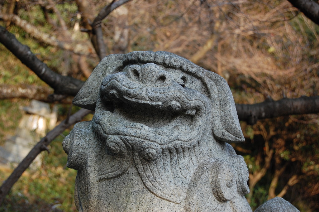 がおー
