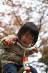 紅葉