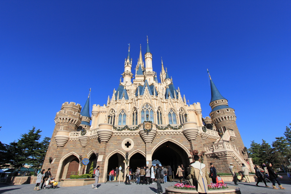 TDL