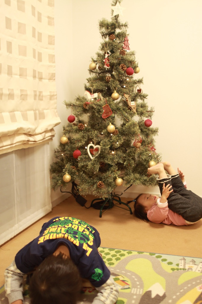 クリスマスツリー　何やってんだ？！