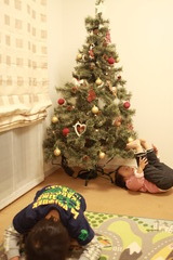 クリスマスツリー　何やってんだ？！