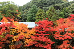 有馬温泉