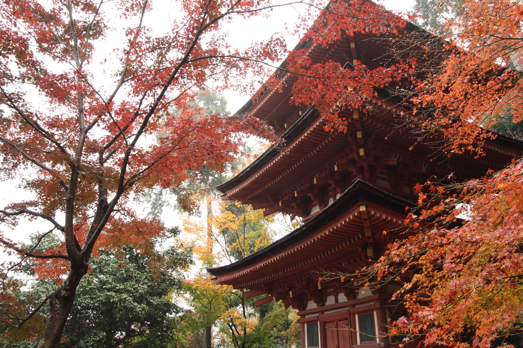 浄瑠璃寺三重の塔