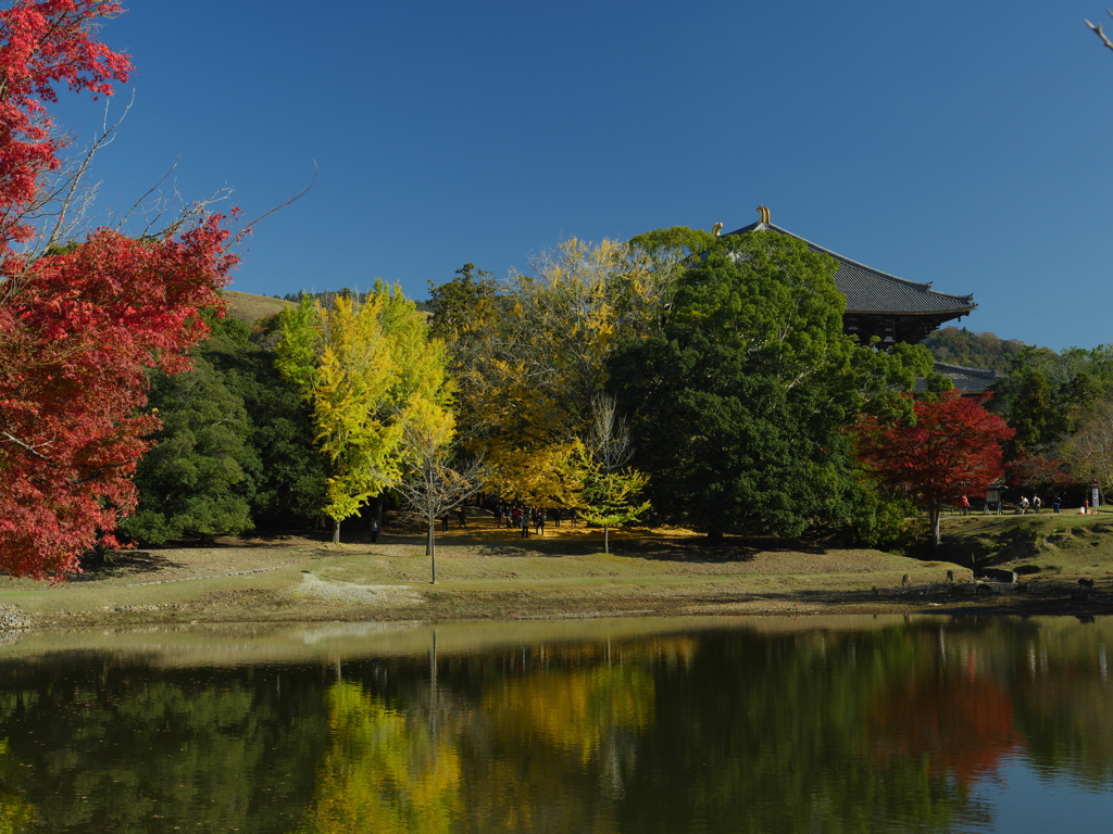 正倉院大池からの東大寺