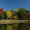 正倉院大池からの東大寺