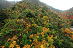 六甲