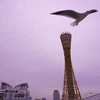 神戸メリケンパーク