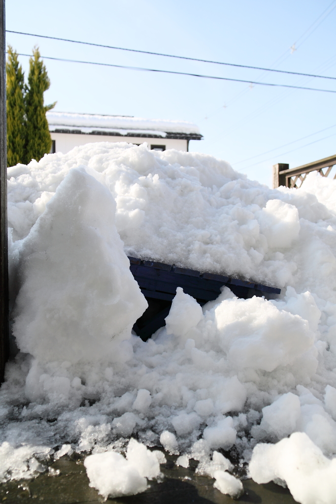 落雪