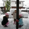 どっちが高い?