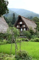 白川郷2