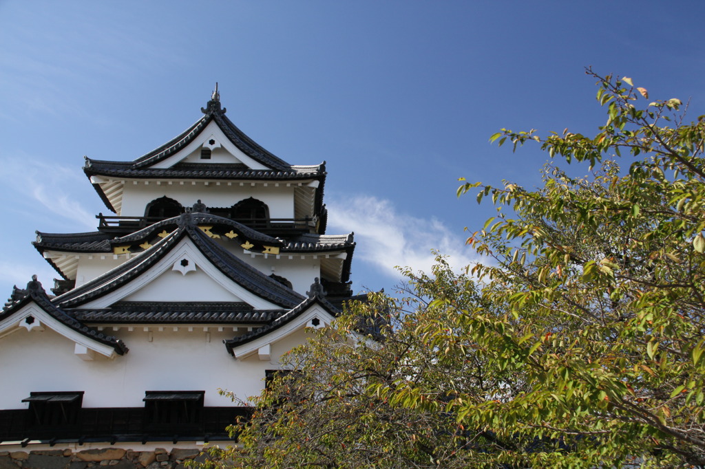 天守閣　彦根城