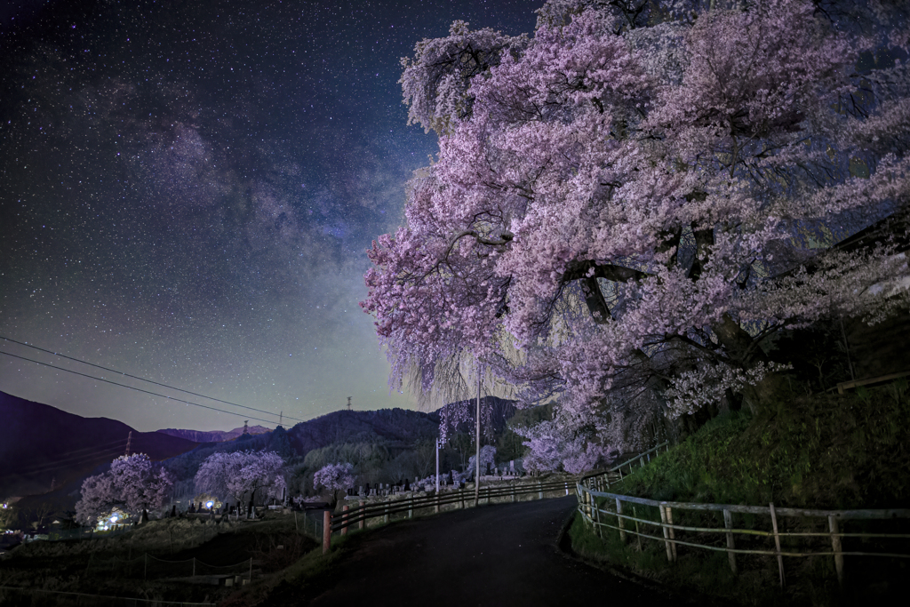 天の川と桜
