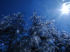 樹氷・・・・蒼の中に融けて