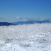 凍る霧ヶ峰高原