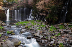 ある日の朝
