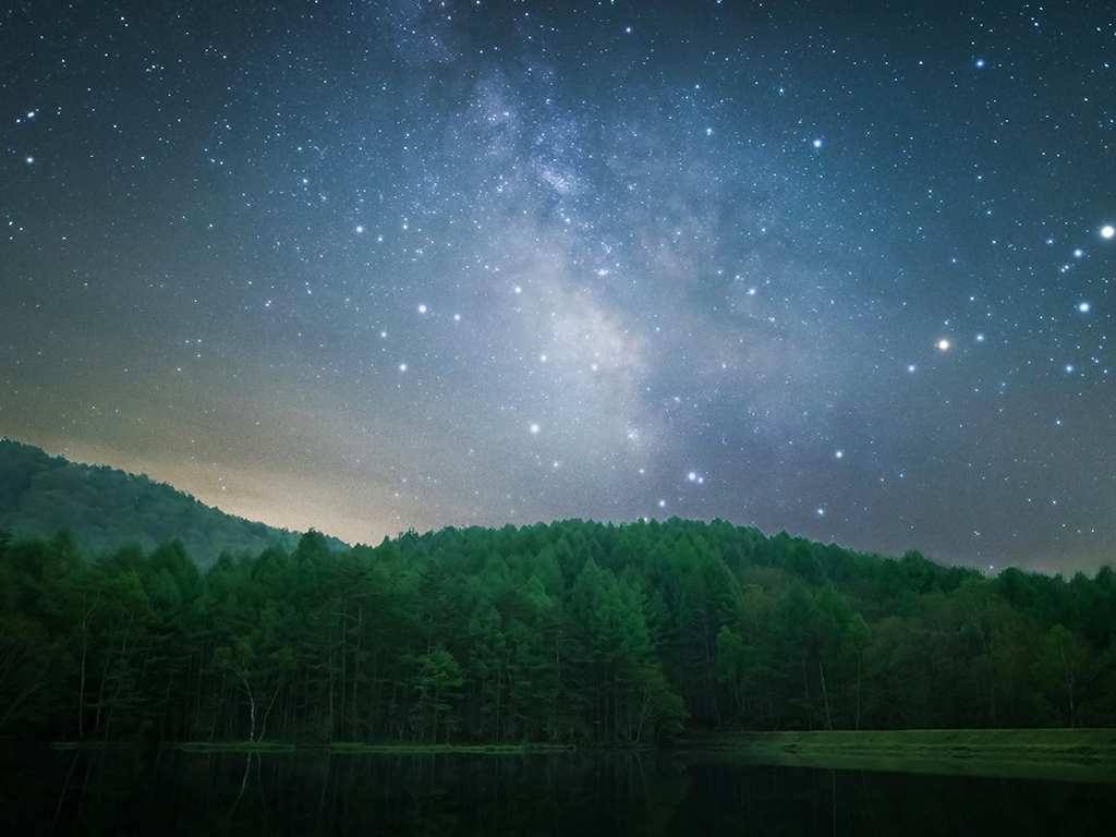 緑の池に星注ぐ