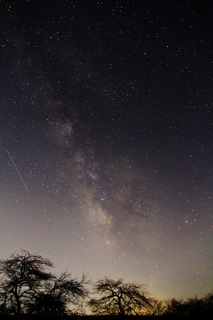 春の星座が昇った後には