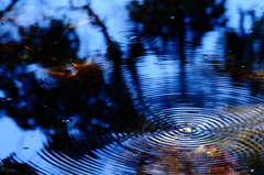 Circle