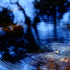 Circle