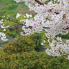 瀬戸の春色