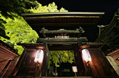 夜のイチョウ
