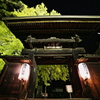 夜のイチョウ