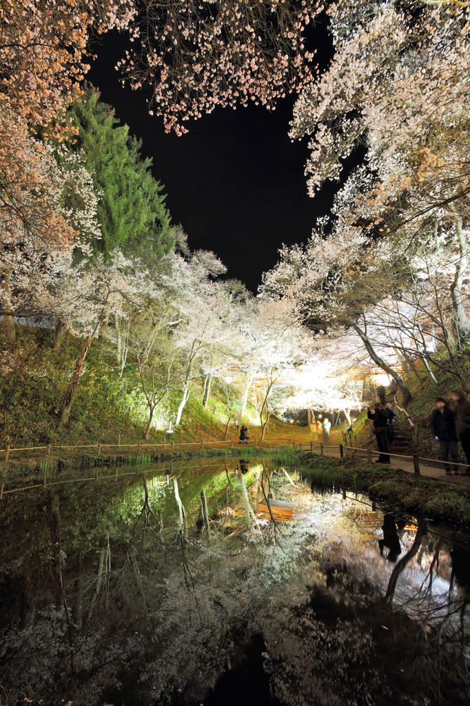 夜に浮かぶ