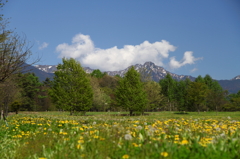 八ヶ岳の春